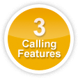 3 Calling Features
