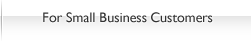 For Small Business Customers