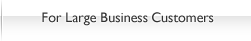 For Large Business Customers