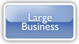 Large Business