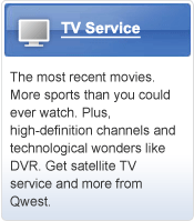 TV Service