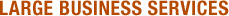 Large Business Services