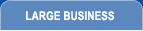 Large Business