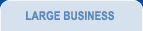 Large Business